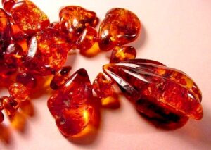 Polished Fushun amber piece with perfectly preserved midge insect.