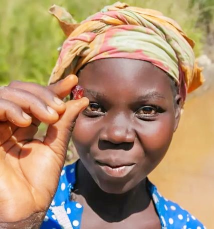 SUSTAINABLE DEVELOPMENT GOALS ARE VIRTU GEM GOALS