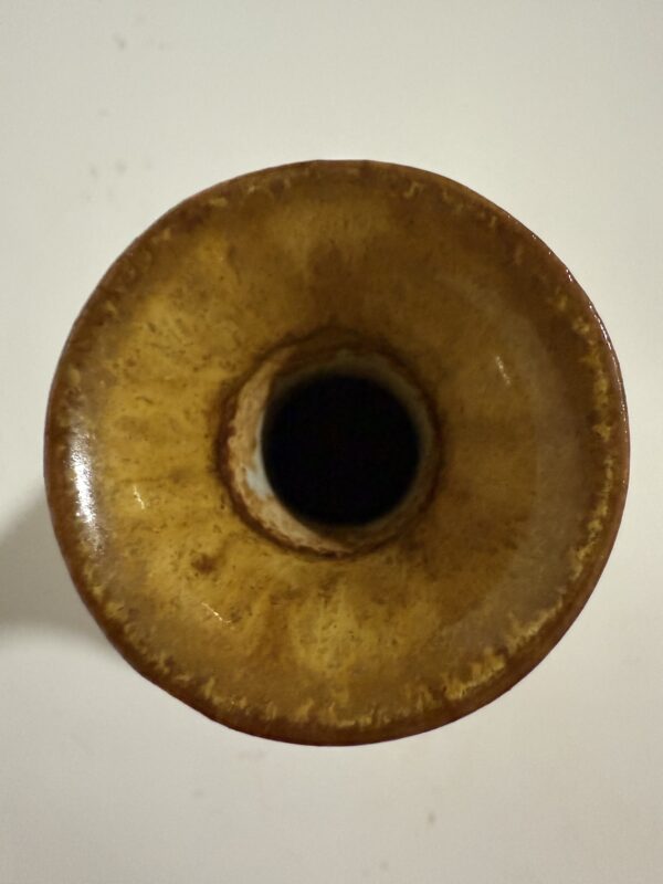 Qing Dynasty Butter Glaze Garlic Head Bottle - Image 4