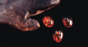 The Enigmatic World of Amber: From Ancient Resin to Treasured Gem