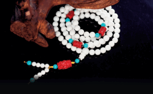 The Giant Clam Shell (Tridacna): A Treasure from the Coral Sea