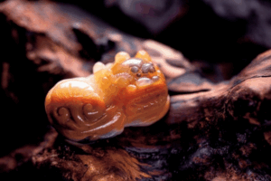Huanglong Jade: The “Dragon’s Heart” Gem of Yunnan