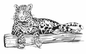 Guardians in Jade: The Symbolic Menagerie of Chinese Carvings